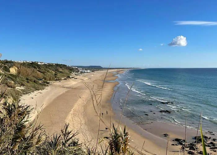 Leon * Коніль-де-ла-Фронтера